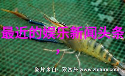 画面里的沉默她心中在想什么