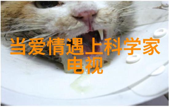 重生香港之娱乐后宫梦回红星复仇前尘