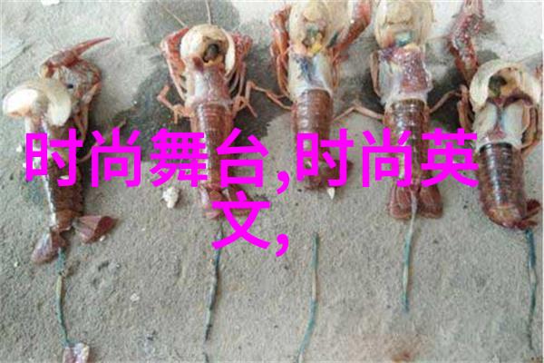51影视下载如何安全高效地获取你的最爱电影
