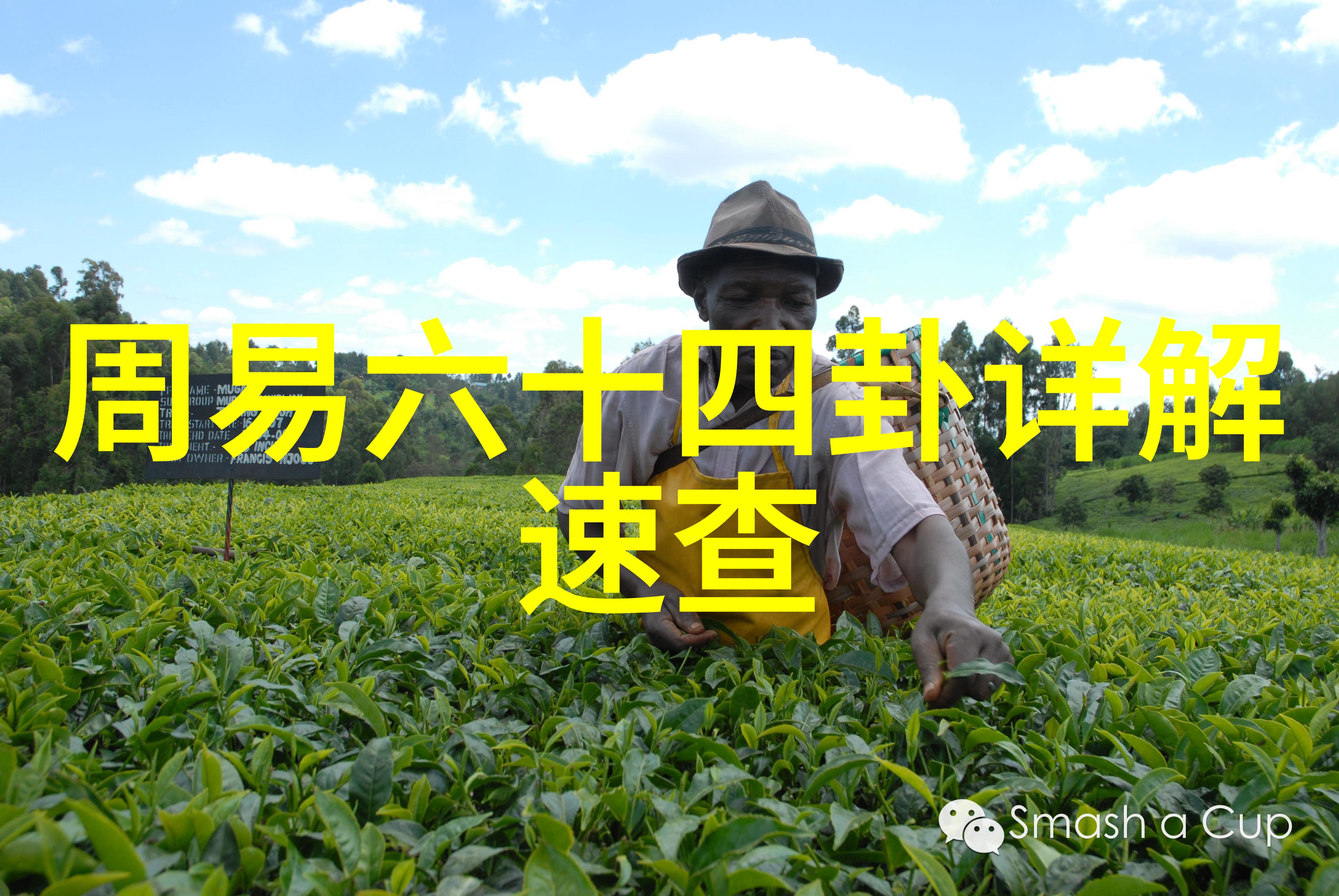 娱乐资讯影视盛宴中的奇迹之作星辰大海背后的创意故事