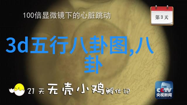 亚贵神秘的世界免费观看完整12集
