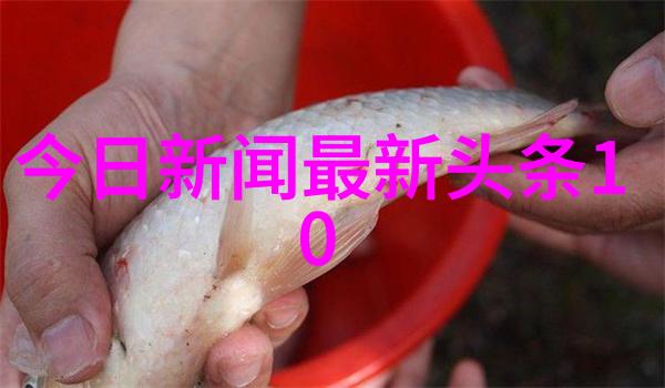 刘智扬台湾最新情况的见证者