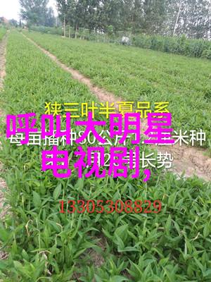 旅游新闻网-探秘全球最佳海滩沙滩天堂的秘密