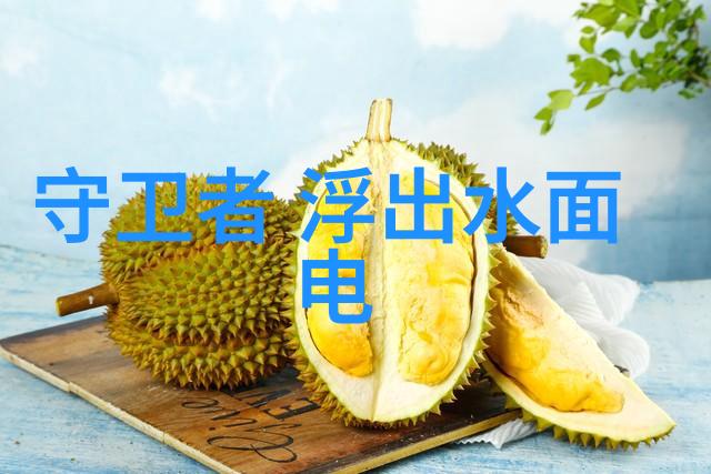捕捉精妙高清写真艺术的魅力与技术