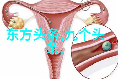 独家访谈天空影视CEO分享公司成长之路和未来的规划