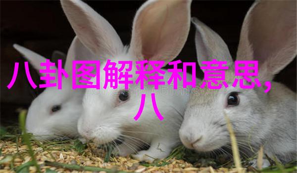 影视仓未来的电影存储与管理系统