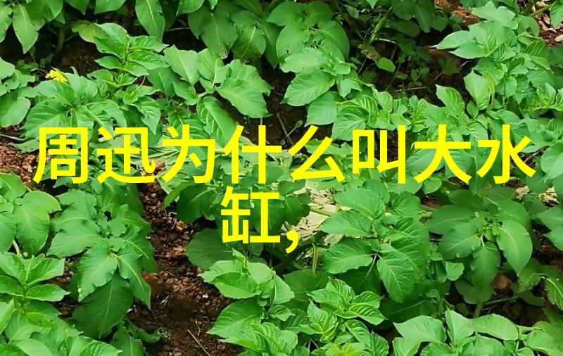 冷凝器故障诊断指南识别问题避免更换不必要
