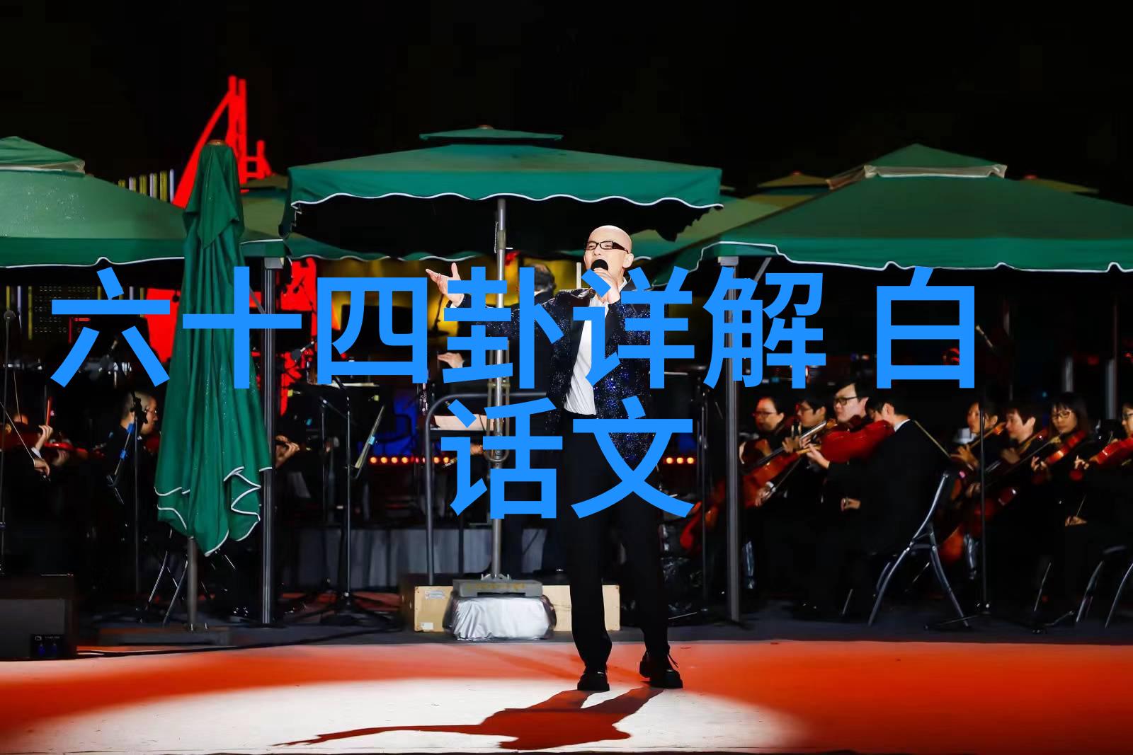 森林的守望者探索大自然的宁静之境