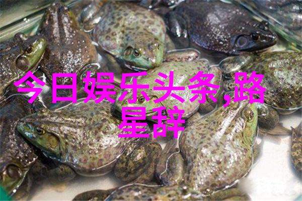 龙拳小子拳民出击00后观影脑洞大开是不是555电影里最有料的剧情啊