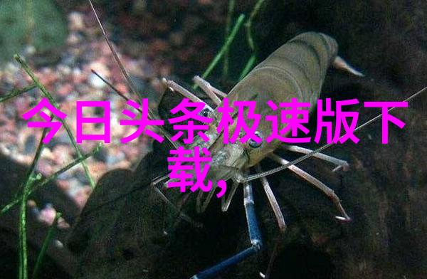 武藤兰全集我的魔法之旅