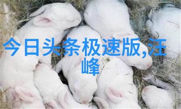 娱乐圈新星闪耀小明星演绎奇迹成长故事