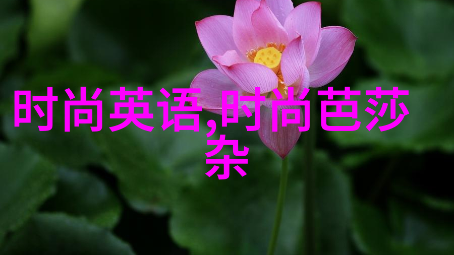 娱乐新闻明星新剧集梦想成真首播热度不减粉丝争相讨论角色发展变化
