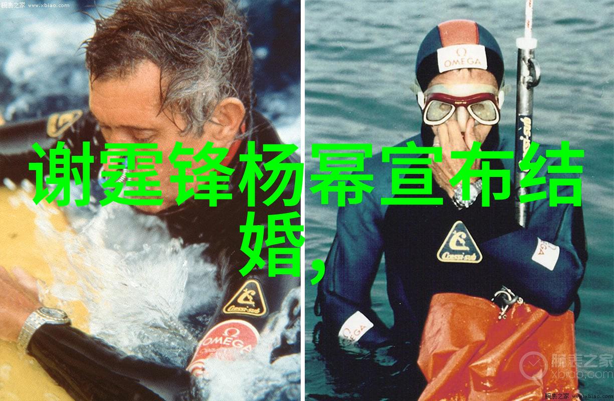 踏上梦想之旅不必掏钱包揭秘那些让你爱不释手的免费音乐资源