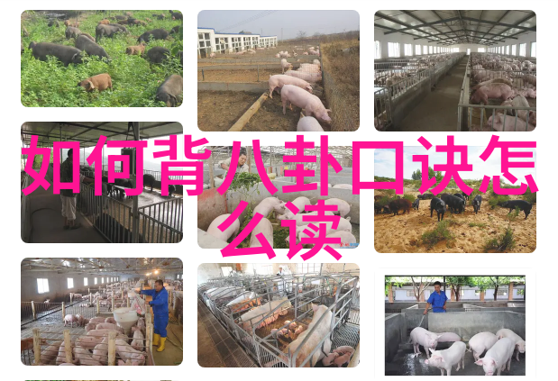 传统韩剧和现代韩式娱乐之间有什么区别