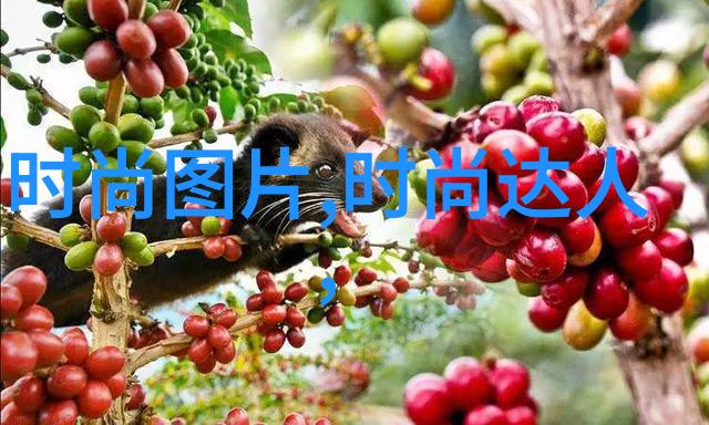 东方时尚官网亚洲流行服饰大师