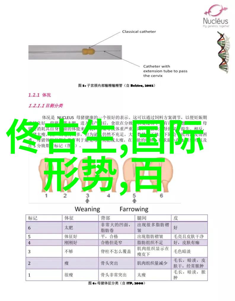 台湾省热潮下经济发展新机遇与挑战