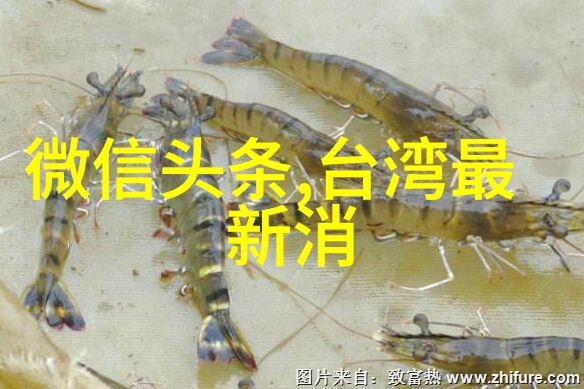 大自然风景图片 真实我眼中的山川画卷云海映日林间漫步的诗意篇章
