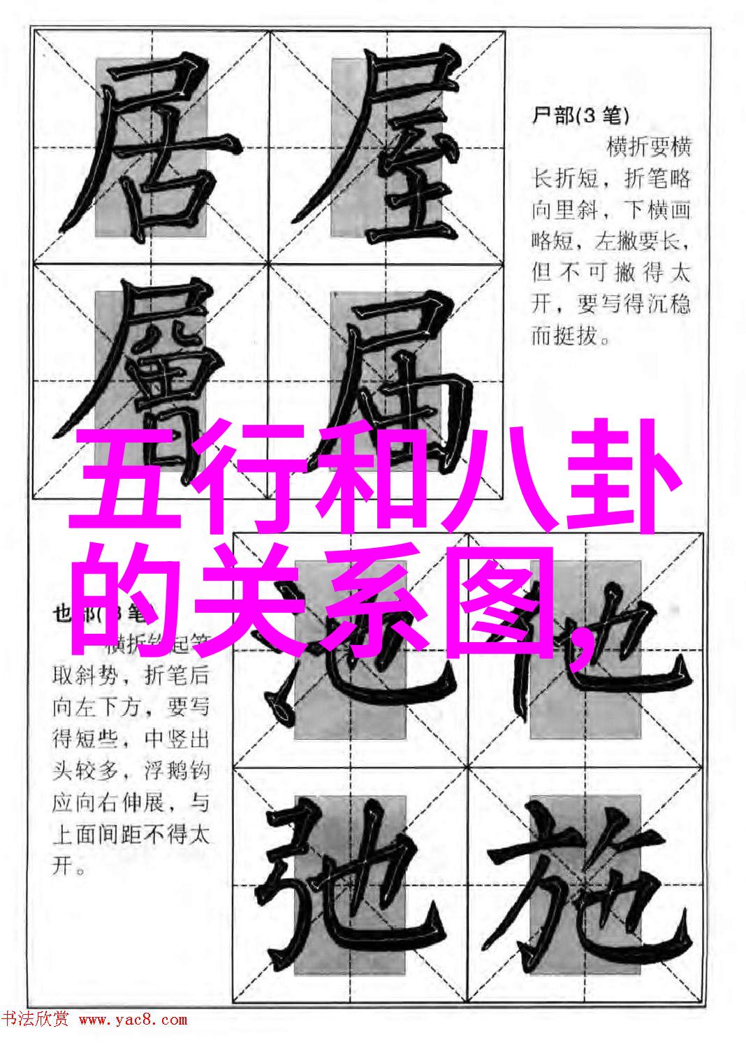 台湾人直言薛佳凝娃娃照背后隐藏着精灵与悲剧的交织