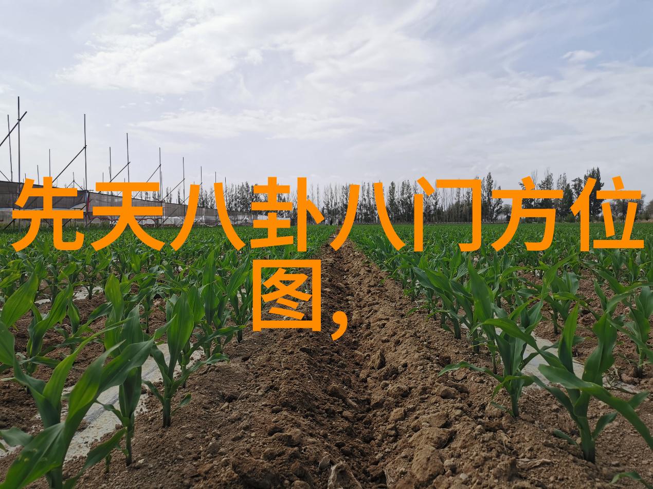 冰封的屏幕何冰背后的电视剧传奇