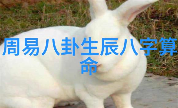 大胆追逐艺术写真不羁的创意与摄影边界的突破