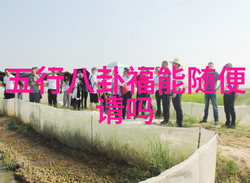 网上美女写真的传播与审美标准是什么关系