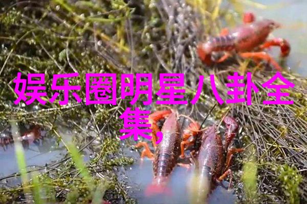 星光闪烁的追梦者背后的故事
