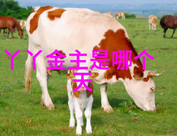 传统方法vs现代科技手动搜索VS智能AI电影推荐系统哪个更实用