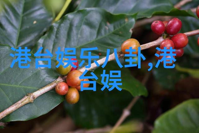 什么是五行八卦图-解密古秘五行八卦图的神秘背后
