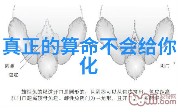 宠儿之恋娇宠为上心甘情愿