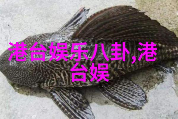影视圈 - 舒淇一组黑白写真曝光时尚与神秘的对话