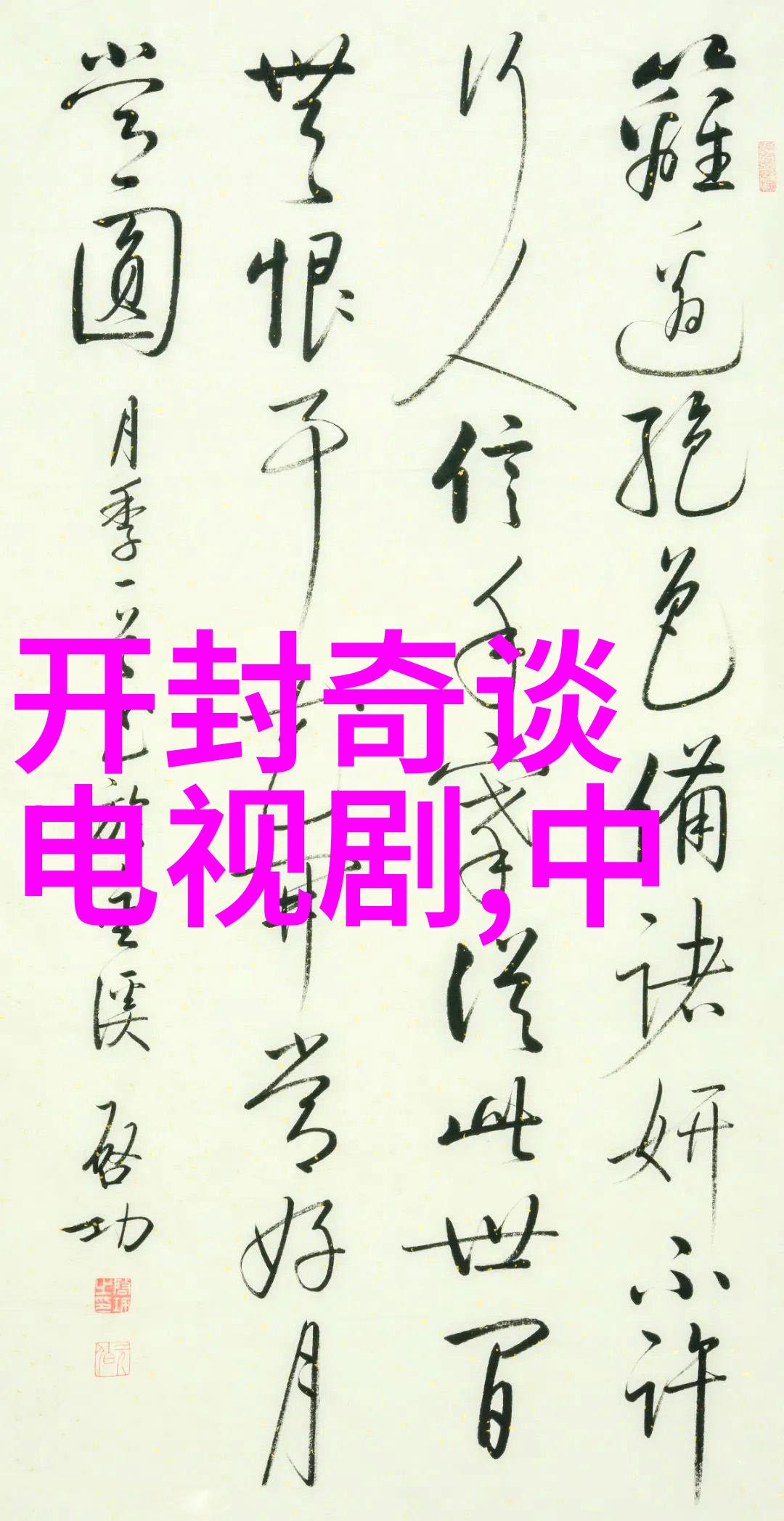 意外出镜我是如何误入综艺镜头后火遍网络的