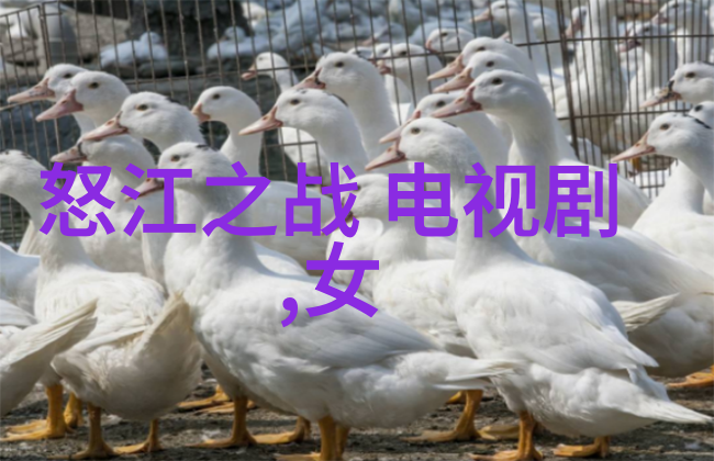 色彩对比如何运用色彩提升人像写真的艺术感
