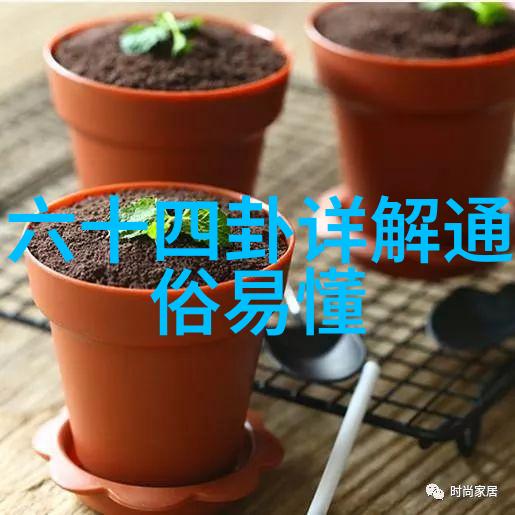 肖战写真中隐藏的艺术细节有哪些