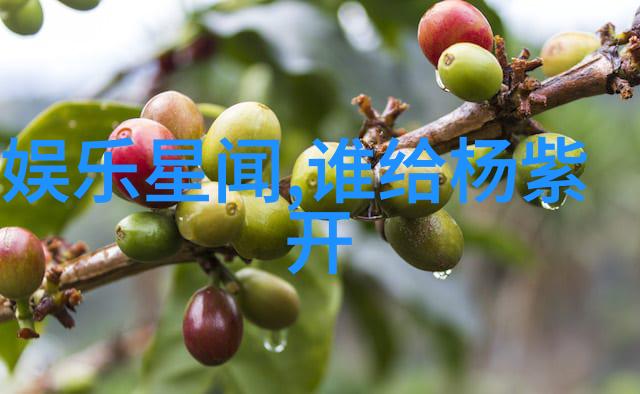 情感探秘如何通过扫描图片识别出另一半的性格与需求