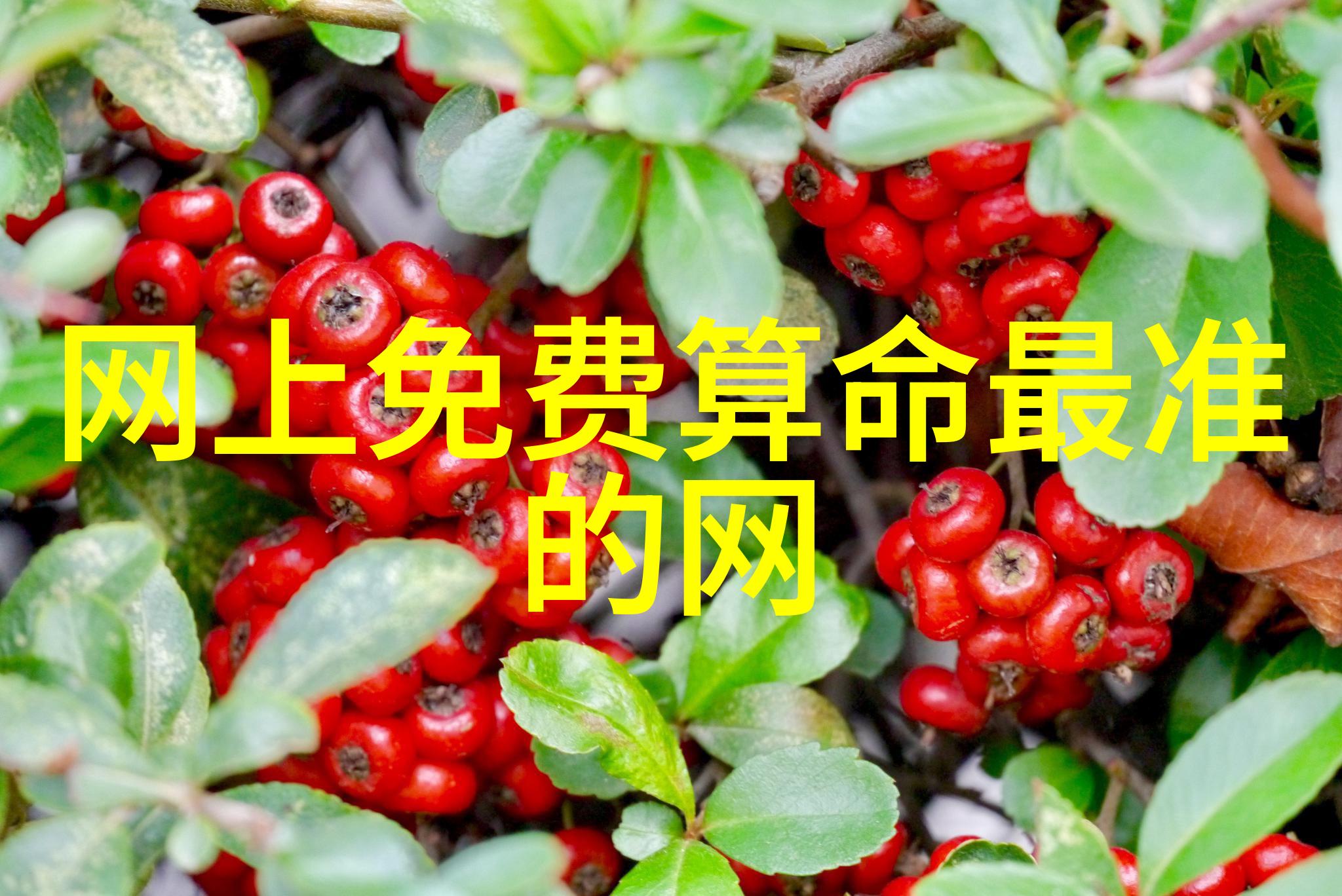 别躲了我不喜欢你了揭开青春背后的真相