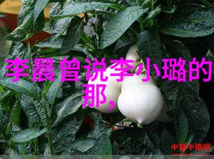 探索后天八卦之谜揭开中国古代占星术的神秘面纱