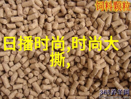 空间与时间创造出令人难忘的丝袜摄影作品要素分析