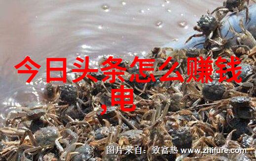 热点娱乐八卦不二兔X JORYAweekend联名服饰能否治愈青春
