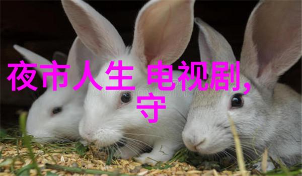台湾妹中文娱乐网美丽风尚时尚潮流