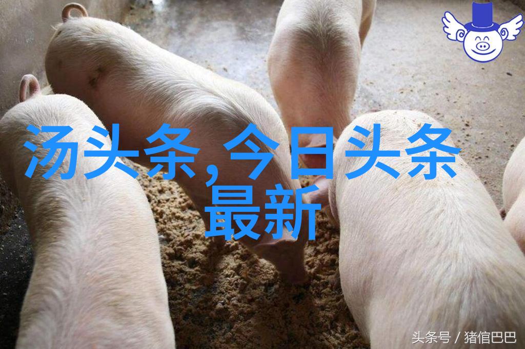 静态中流淌的情绪分析高清伤感图片的语言