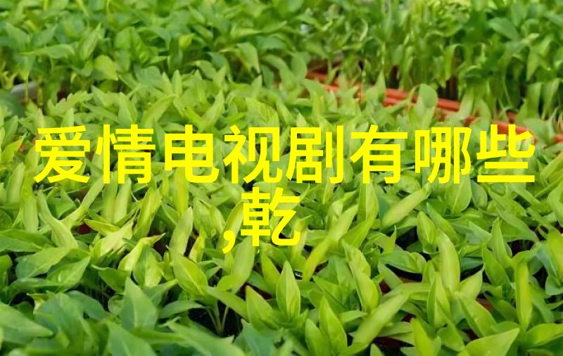 美食绘卷展开厨艺大赛的美妙风景线