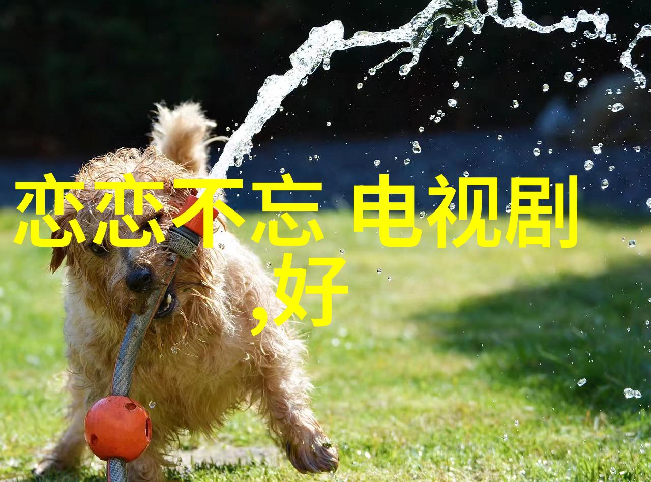 小刀娱乐网我是如何在这里偶遇的网络流星雨
