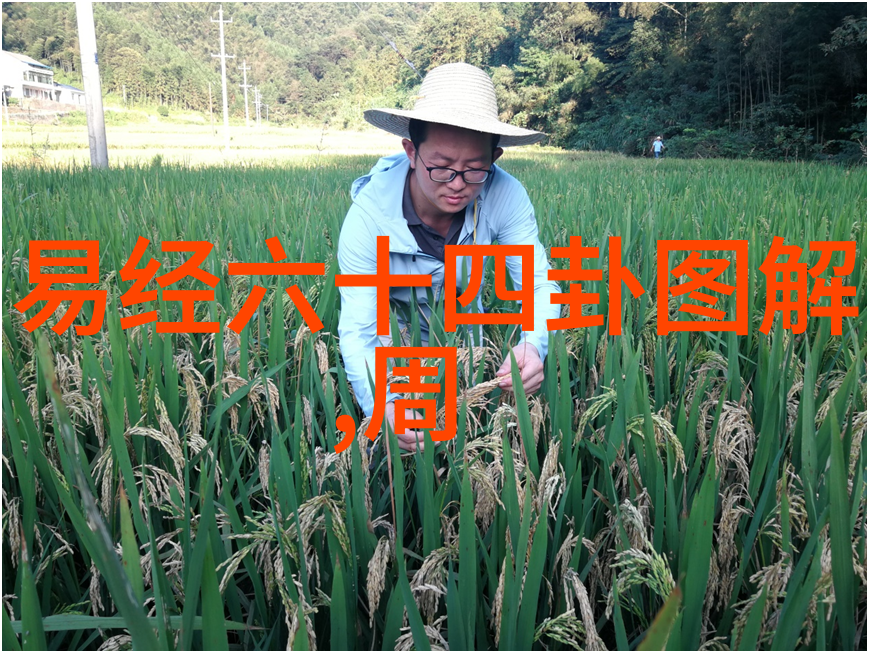 JLZZ日本年轻护士的故事