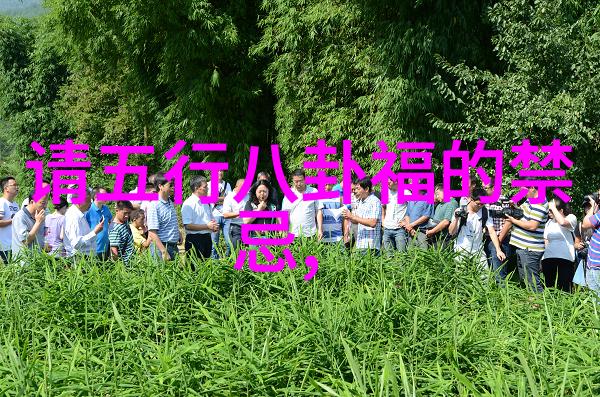 夏日海滩美人探秘比基尼写真背后的魅力