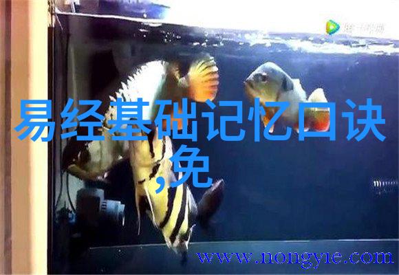 情欲的纵横揭秘写真界的禁忌与魅力
