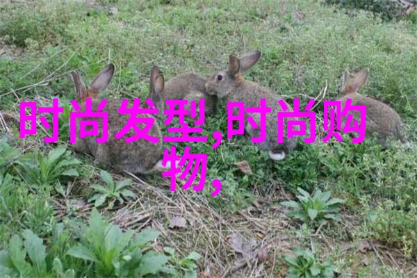 东方时尚驾校学开车也能秀气