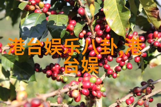 八卦艺术的精髓探索五行正品图片大全中的文化奥秘