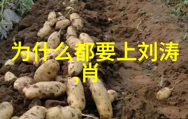 直播盛宴一键即刻的互动乐趣