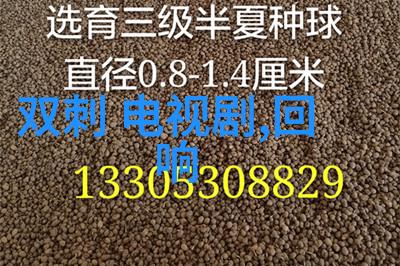 农村网红风尚榜揭秘乡村美食与生活的魅力