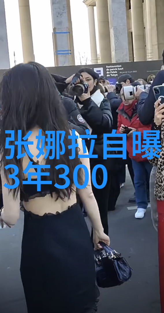 代号山豹 电视剧-逆袭的狡猾者代号山豹的传奇